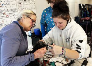 Student and teacher examine a dog