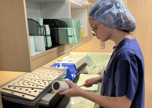 Sterile student in PPE cleaning instruments at Albany Med